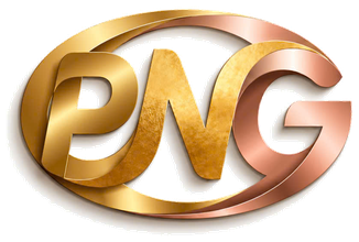 PNG ONE logo