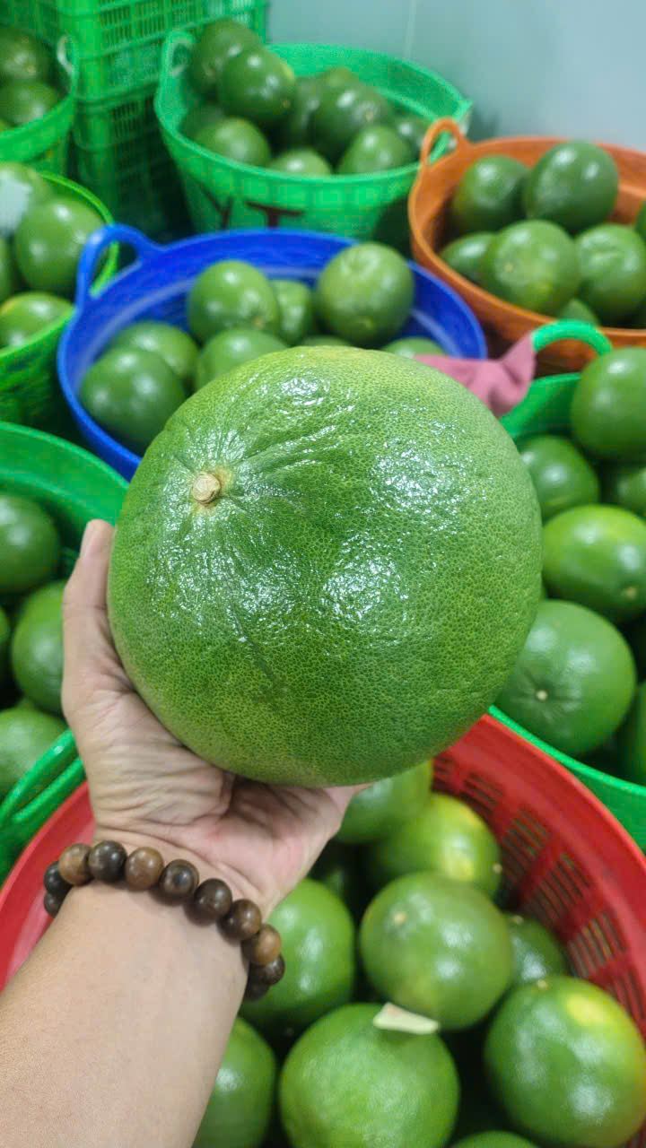 Pomelo